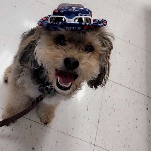 Meet your Posher, Jenna